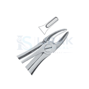Forceps d'extraction dentaire en acier inoxydable, forceps manuels pour dents, griffes chirurgicales pour usage clinique - Product Image 2