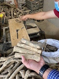 ไม้กัดสำหรับสุนัขทำจากไม้กาแฟจากเวียดนาม - Product Image 3