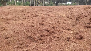 MDS Coco Pith <b>Block</b> (Coconut <b>Coir</b>) Ready Use Nutrient-Rich Eco-Friendly High Water Retention Tamil Nadu Origin Growing Planting - Product Image 2