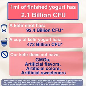 Culture de démarrage de kéfir Calcium + fabriquée au Japon pour la digestion, la santé des os et la force immunitaire avec certification GMP - Product Image 3