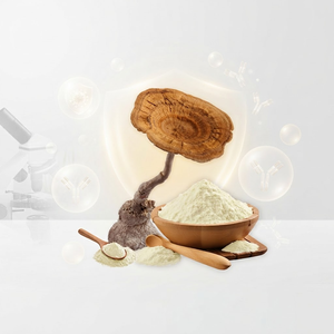 LiGNO TM02 Polvo de Hongo Leche de Tigre |   Ingrediente Funcional Secado en Frío |   Alimentos Saludables de Grado Alimenticio |   Fabricación OEM/ODM | - Product Image 1