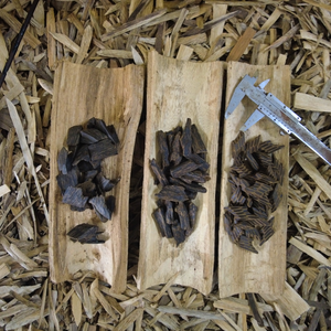 Muestra - Juego de Quemadores de Incienso de Agarwood Mejorados con Alto Contenido de Resina y Características Ecológicas de Agarwood de Vietnam - Product Image 1
