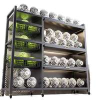 Étagère de rangement de cuisine murale moderne en fer, double niveau, multifonctionnelle, écologique, capacité personnalisable, durable