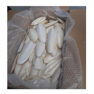 Os de Seiche Naturels en Gros pour Importateurs, Grossistes et Détaillants de Produits pour Animaux de Compagnie - Product Image 5