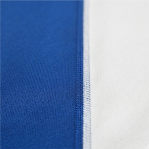 Sweat à capuche unisexe en molleton chenille blanc et bleu personnalisé pour sororité grecque, avec logo brodé sur le devant, manches raglan, coupe classique, vêtement d'hiver - Product Image 5