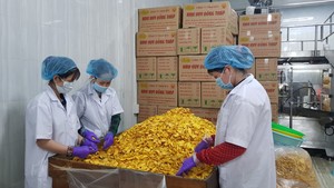 Venta a granel de Jaca seca, patatas fritas crujientes, rebanada de fruta natural dulce, Jaca seca, aperitivo saludable, confección tradicional de Vietnam - Product Image 6