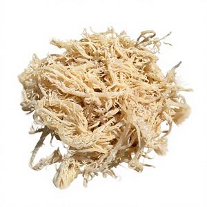 Chondrus Crispus Eucheuma cottonii คั่วสาหร่ายทะเลสีทองขายส่ง seamoss สีม่วง - Product Image 1