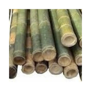 Vara de Bambú Agrícola Personalizada con Rama para Exteriores - Product Image 1