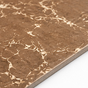 Baldosas de Cerámica Digitales Premium de 60x60 cm, Impresión HD, Baldosas Duraderas de Primera Calidad para Sala de Estar, Cocina y Hogar - Product Image 3