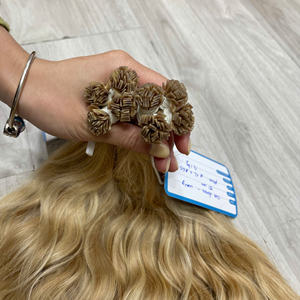 CHEVEUX DE QUALITÉ SUPÉRIEURE : Extensions de cheveux à pointe en kératine, pointe plate, couleurs européennes, cheveux vietnamiens lisses naturels - Product Image 1