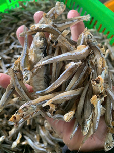 ปลาแอนโชวี่แห้งจากเวียดนาม สำหรับการส่งออกจำนวนมาก บริการจัดหาอาหาร และจำหน่ายสินค้าในตลาดเอเชีย - Product Image 2
