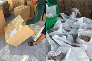 Wild Harvested Ninh Thuan Purple <b>Sea</b> <b>Moss</b>-100% <b>Sea</b> <b>Moss</b> Dried 99 Gold Data Brand for Health - Product Image 6