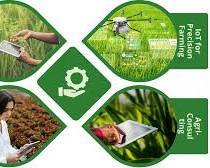 Plateforme d'agriculture intelligente permettant aux agriculteurs de surveiller les cultures, le sol, la météo, l'équipement d'irrigation et les opérations agricoles grâce aux données. - Product Image 2