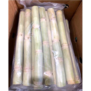 Caña de azúcar congelada de calidad superior, precio de fábrica, caña de azúcar fresca, frutas congeladas de Vietnam al por mayor - Product Image 3