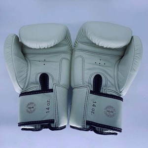 Nuevos Guantes de Boxeo Fairtex OEM en Oferta, Guantes de Boxeo Profesionales Fairtex para Entrenamiento y Sparring para Adultos Unisex CP-BG-74 - Product Image 3