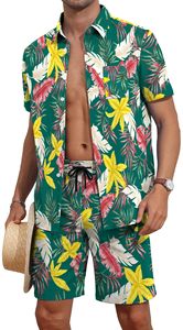Conjunto coordinado para hombre con estampado tropical, camisa de manga corta y pantalones cortos de playa, conjunto informal de verano para vacaciones, top colorido, conjunto de dos piezas para hombre. - Product Image 5
