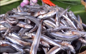 ปลาแอนโชวี่แห้งขนาดเล็กสำหรับอาหารเด็กและการใช้เพื่อโภชนาการ - Product Image 2