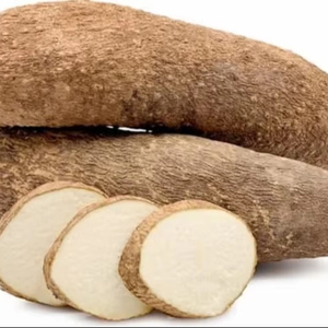 Yam Orgánico Congelado IQF VIETDELTA, el Más Vendido, Grado Premium, Blanco y Morado, en Rodajas y Puré, Suministro a Granel para la Industria Alimentaria, 10 kg - Product Image 4