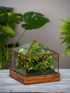 Juego de 2 terrarios personalizados de metal y vidrio, macetero moderno de vidrio para plantas de interior, suculentas, plantas aéreas y terrarios DIY - Product Image 6