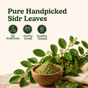 Premium Quality Natural Sidr Leaf Powder 100% Pure Herbal Cosmetic Grade Sidr 200g Leaf Powder for Hair Mask Face Pack - Product Image 2