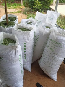 Hojas de Moringa secas Precio razonable Hojas de Moringa Suministro de fábrica Moringa seca - Product Image 3