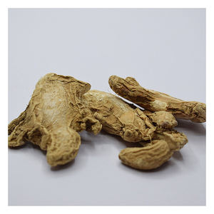 Jengibre Seco Natural, Raíz de Jengibre Seca al Sol, Especia de Grado Alimenticio, Distribuidor Mayorista, Gran Cantidad - Product Image 1