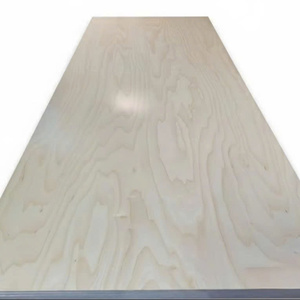 Panneaux de contreplaqué en bois d'eucalyptus de haute qualité avec revêtement UV blanc, poncés des deux côtés, première classe, panneaux avec revêtement UV - Product Image 3