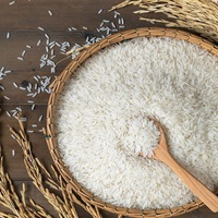 Riz Sella Basmati biologique frais, directement de l'usine, fourni en vrac pour les marchés alimentaires et les importateurs