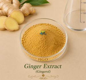 Suministro Directo de Fábrica HGO: Extracto Puro de Jengibre Natural (Grado Alimenticio) con 1% de Gingerol Soluble en Agua (Extracto Estandarizado) - Product Image 4