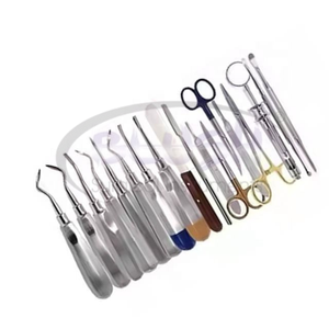 Dental Surgical Instrument Set 35-Piece Stainless Steel Extracting Forceps Elevators Scissors CE Certified Manual Tools <b>Blush</b> - Product Image 4