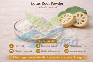 Hgo ผงรากบัวธรรมชาติบริสุทธิ์ (เกรดอาหาร) ข้อมูลจำเพาะผงผัก (ผงผักหรือผลไม้) - Product Image 5