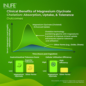 Complément de Magnésium Chélaté Glycinate 2000mg et Picolinate de Zinc pour Adultes, 60 Comprimés, Absorption Supérieure, Étiquette Nettoyée, OEM - Product Image 4