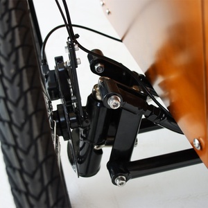 Bicicleta Eléctrica de Carga de 3 Ruedas con Motor Central DAPU de 250w, Estilo Europeo, <span class=keywords><strong>Nueva</strong></span> Llegada, <span class=keywords><strong>Trimoto</strong></span> Eléctrica para Carga Familiar - Product Image 5