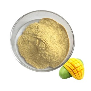 Polvo de Mango 100% Puro Liofilizado de Marca Privada, Calidad Premium, Grado Alimenticio, al Mejor Precio desde India - Product Image 2