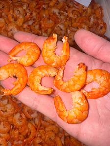 Fournisseur de crevettes séchées vietnamiennes de qualité supérieure, fruits de mer déshydratés pour supermarchés, restaurants et fabricants alimentaires - Product Image 5