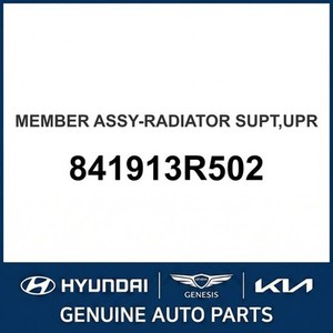 Radiadores Nuevos Cadenza 841913R502 - Product Image 1