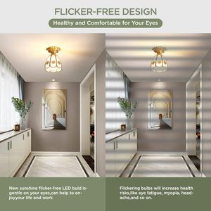 Lot de 2 ampoules LED 40W équivalentes à 300W, 5000 lumens, 5000K, blanc lumière du jour, culot moyen E26/E27, utilisation intérieure et extérieure - Product Image 3