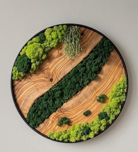 Arte de Musgo en Madera, Decoración Forestal, Panel de Pared Natural, Obra de Arte Verde, Diseño Hecho a Mano, Exhibición de Musgo Preservado, Interior Orgánico - Product Image 6