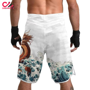 Shorts de boxe MMA pour hommes Fairtex, très demandés, impression personnalisée sur le devant, coupe ajustée, respirants, confortables, tissu polyester et élasthanne, adulte - Product Image 4
