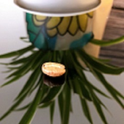 Café Arabica Vietnamien Torréfié en Ville de Qualité Supérieure OEM Konnai BOLD, Certifié ISO, Grade A+, avec Processus de Lavage Complet, Meilleur Prix - Product Image 2