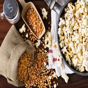 Granos de Palomitas de Maíz Naturales Sin OMG de Calidad Superior con Gran Expansión y Textura Crujiente, Ideales para Productores de Snacks - Product Image 1