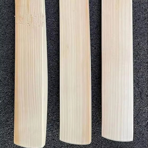 Batte de cricket en saule anglais de qualité supérieure, zone de frappe professionnelle, légère, pour balles dures, avec design à graines fortes pour une puissance accrue - Product Image 1