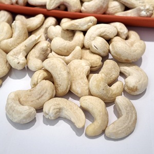 เมล็ดมะม่วงหิมพานต์ขาวออร์แกนิกสดใหม่ W320 ผลิตจากเวียดนาม ได้รับการรับรองฮาลาล สำหรับอุตสาหกรรมแปรรูปอาหารระหว่างประเทศ - Product Image 4