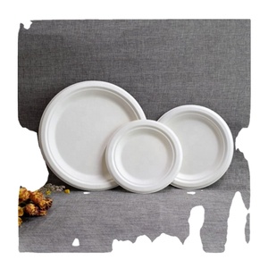 Haute vente jetable 10 pouces rond Baggasse plaque avec 3 tasses pour l'exportation prix de gros au détail en Inde - Product Image 4
