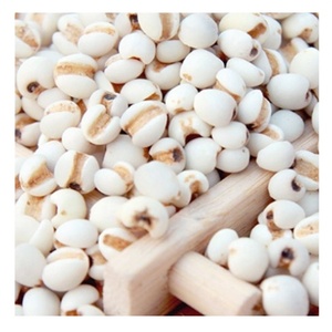 Meilleures ventes Graines de Job's Tear séchées naturelles - 100% pures Taille 4-6mm Haute qualité Graines de Job's Tear du Vietnam Vente en gros Durée de conservation 12 mois - Product Image 1