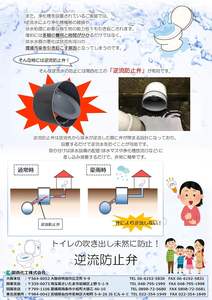 Vanne anti-retour en PVC résistant à la corrosion Kansaikako, taille de port 125A, origine Japon, support OBM personnalisé pour les inondations - Product Image 6