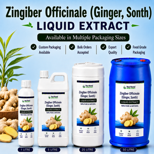 Extracto Líquido de Zingiber Officinale, Jengibre, Suplemento Herbal de Grado Alimenticio a Base de Plantas, Suministro a Granel, Empaque Personalizado - Product Image 1