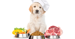 Compléments Alimentaires pour Animaux - Minéraux et Oligo-éléments de Qualité Alimentaire pour une Croissance Saine - Product Image 2