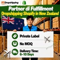 Новозеландский агент по дропшиппингу на Shopify |   Китайский партнер по экспресс-доставке с сроком в пути 6-10 дней