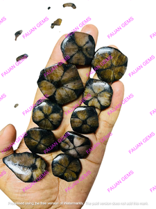 พลอยไคแอสโตไลต์แท้ทรงคาโบชอง หายาก ธรรมชาติ ทรงเจียระไนทั้งหมด FAIJAN GEMS M-71 ได้รับการประเมินจากบุคคลที่สาม - Product Image 3